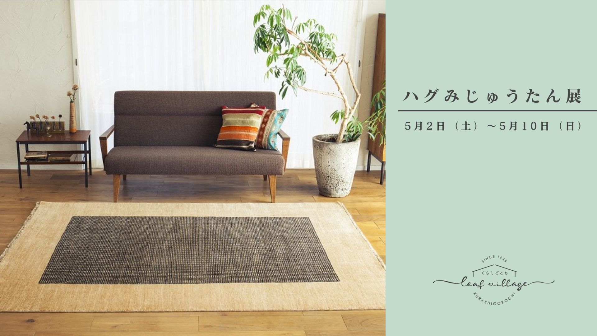 ハグみじゅうたん展開催します！｜大阪でハグみじゅうたんをお探しなら